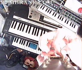 Live Music Featuring the 
Guitar Harp